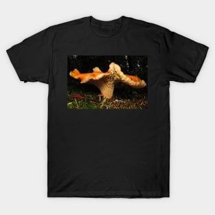 Large scaly chanterelle T-Shirt